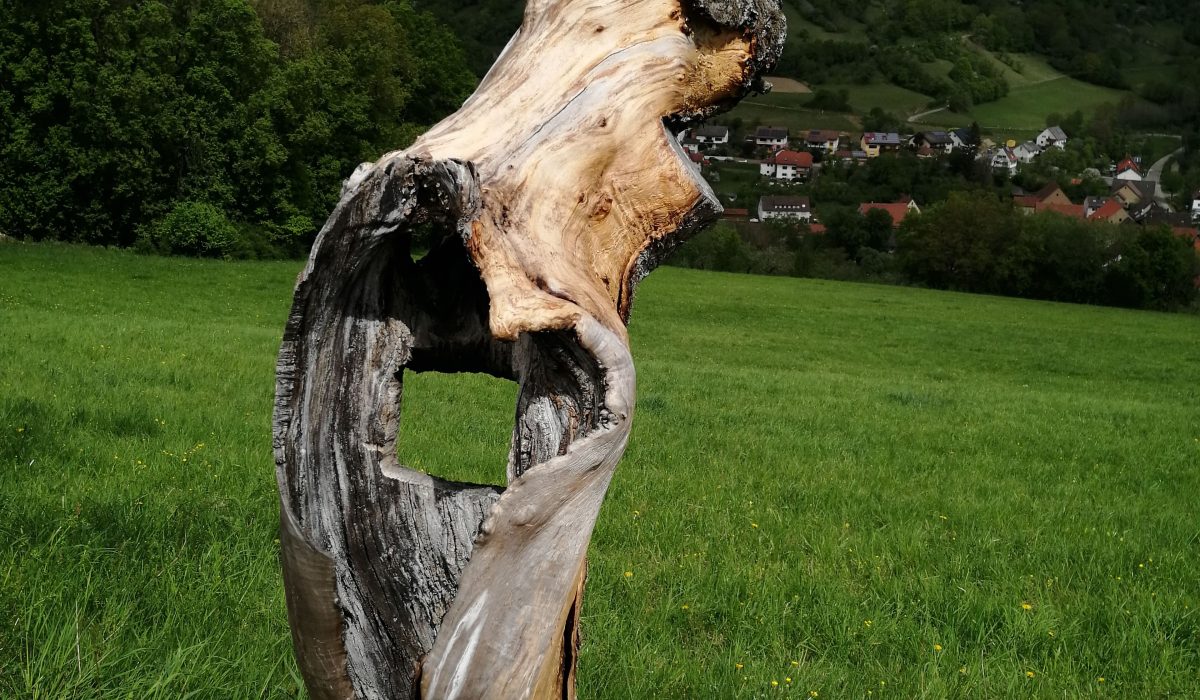 Naturliebe-Selbsthilfegruppe
